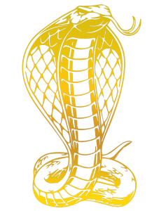 School logo