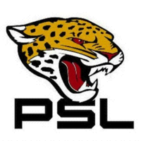 School logo